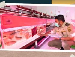 Permintaan Imlek Meningkat, Ekspor Arwana Super Red Kalbar ke China Melonjak Tajam