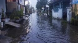 Banjir di Kabupaten Pasuruan, Provinsi Jawa Timur berangsur surut pada Senin (23/2), dengan ketinggian air tersisa 10–50 cm di sejumlah titik terdampak. (Dok. BPBD Kabupaten Pasuruan)