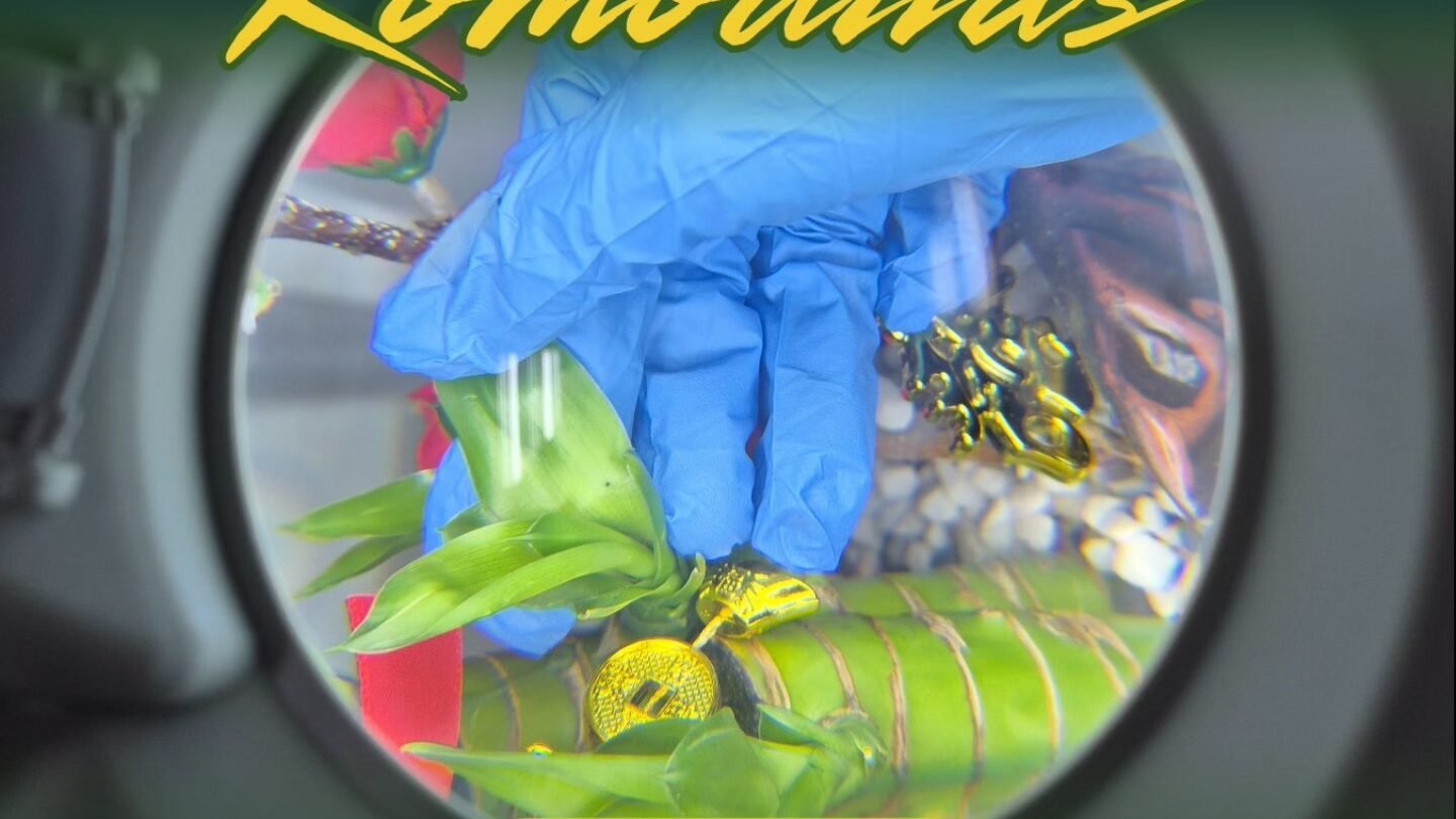 Petugas Karantina memeriksa bibit bambu hias ilegal asal Malaysia yang ditahan di PLBN Entikong jelang Imlek. (Dok. HO/Faktakalbar.id)