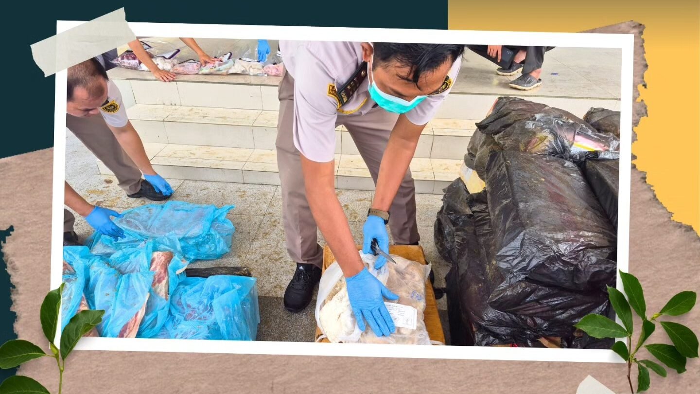 Petugas gabungan memeriksa barang bukti daging ilegal asal Malaysia yang diamankan di PLBN Entikong untuk mencegah penyebaran penyakit. (Dok. HO/Faktakalbar.id)