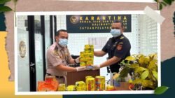 Petugas Karantina dan Bea Cukai memperlihatkan barang bukti produk olahan daging dan bibit tanaman ilegal yang diamankan di Kantor Satpel PLBN Aruk. (Dok. HO/Faktakalbar.id)