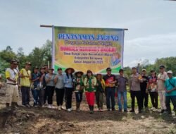 Perkuat Ketahanan Pangan, Pemerintah Desa Runjai Jaya Dorong Produksi Jagung Melalui Dana Desa