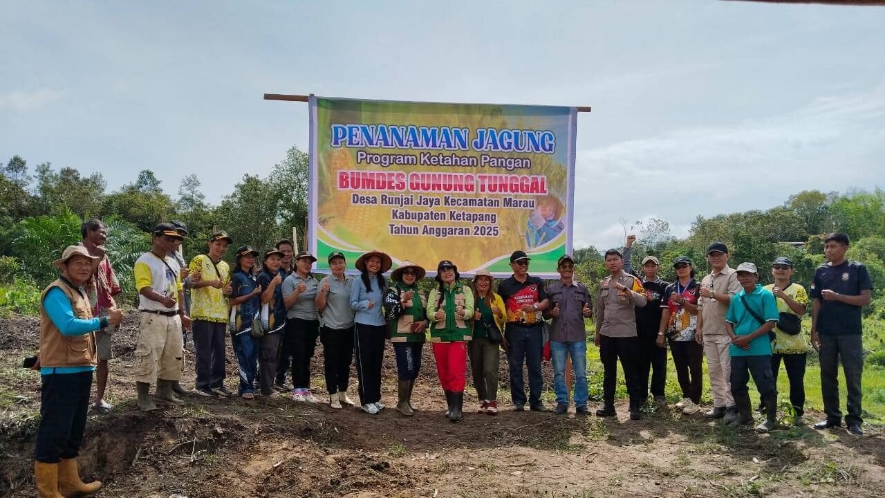 Penanaman jagung Program Ketahanan Pangan BUMDes Gunung Tunggal Desa Runjai Jaya Kecamatan Marau. (Dok. HO/Faktakalbar.id)