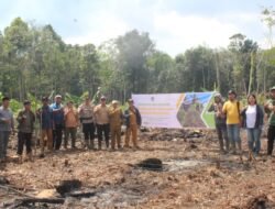 Dukung Asta Cita, BUMDes Sungai Segak Manfaatkan Lahan untuk Ketahanan Pangan Nasional