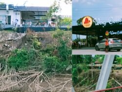 Pohon Bantaran Sekayam Ditebang untuk Weng Cafe, Risiko Erosi Mengintai