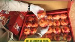 Petugas Karantina memeriksa kotak berisi jeruk mandarin yang diamankan saat pengawasan perbatasan jelang perayaan Imlek di PLBN Aruk. (Dok. HO/Faktakalbar.id)