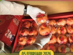 Cegah Hama Penyakit Jelang Imlek, Karantina Kalbar Perketat Pengawasan di PLBN Aruk