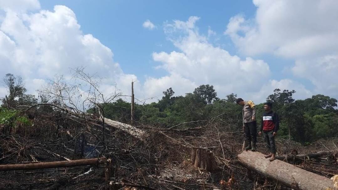 Personel kepolisian resor Sanggau saat melakukan pengecekan langsung ke lokasi titik panas guna memverifikasi aktivitas pembukaan lahan warga, Selasa (3/2/2026).