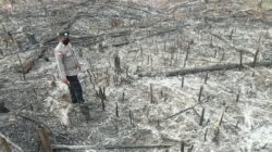 Personel Polsek Noyan saat melakukan pengecekan langsung di lokasi titik panas (hotspot) seluas 0,6 hektare di Dusun Empoto, Desa Empoto, Kabupaten Sanggau, Minggu (8/2/2026).