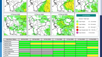 Grafik potensi hujan harian di wilayah Kalimantan Barat periode 8-14 Februari 2026. (Dok. BMKG Kalbar)