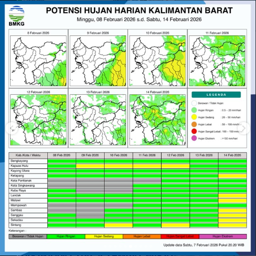 Grafik potensi hujan harian di wilayah Kalimantan Barat periode 8-14 Februari 2026. (Dok. BMKG Kalbar)