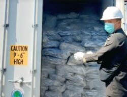 14,1 Ton Ikan dan Gurita Pontianak Lolos Uji Karantina, Siap Pasok Jakarta