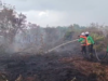 Titik Api di Jalan Madusari Berhasil Dilokalisir, Polda Kalbar Ingatkan Bahaya Karhutla