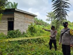 Geger, Warga Air Upas Temukan Mayat Mengering di Pondok Kebun Terbengkalai