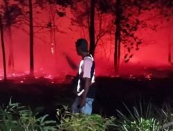 Polisi Selidiki Penyebab Karhutla di Desa Galang yang Hanguskan 10 Hektare Lahan