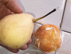 Sajikan “Menu Diet”, BGN Bekukan Operasional SPPG Ketapang Sandai