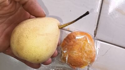 Ilustrasi - Tangkapan layar unggahan warganet di media sosial yang memperlihatkan contoh pembagian porsi Makan Bergizi Gratis (MBG) yang dinilai sangat minim dan memicu protes warga. (Dok. Ilustrasi/ISt)