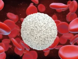 Mengenal Proses Kematian Sel Tubuh Manusia Menurut Penjelasan Ilmiah