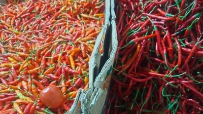 "Ditemui usai Grand Opening Torasera Abdussalam, Ria Norsan memastikan stok sembako di Kalbar aman hingga Lebaran, meski harga cabai dan telur naik."