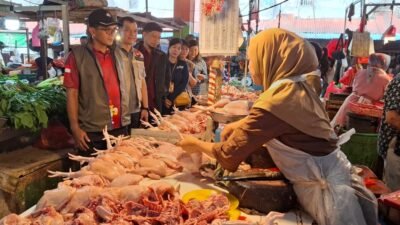 Personel Satgas Saber Pangan Kalbar melakukan pengecekan harga dan stok daging ayam di salah satu lapak pedagang Pasar Kemuning Pontianak. (Dok. HO/Faktakalbar.id)