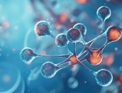 Rahasia Sel Tubuh Melakukan Pembersihan Saat Puasa