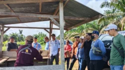 "Warga Desa Lembah Mukti mendesak BPN Ketapang segera mengumumkan hasil ukur ulang sengketa lahan 400 hektar dengan PT MAI yang diduga menyerobot tanah warga."