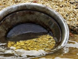 Jaksa Tahan WNA China Kasus Tambang Emas Ilegal