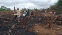Polsek Jelai Hulu menanam jagung hibrida di Desa Pangkalan Suka, Ketapang. Polisi dukung ketahanan pangan dan ekonomi warga 2026. (Dok: HO/Faktakalbar.id)
