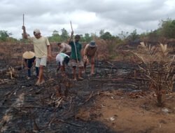 Polsek Jelai Hulu Tanam Jagung Hibrida Bareng Warga