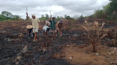 Polsek Jelai Hulu menanam jagung hibrida di Desa Pangkalan Suka, Ketapang. Polisi dukung ketahanan pangan dan ekonomi warga 2026. (Dok: HO/Faktakalbar.id)