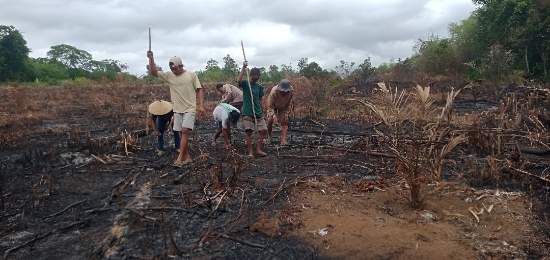 Polsek Jelai Hulu menanam jagung hibrida di Desa Pangkalan Suka, Ketapang. Polisi dukung ketahanan pangan dan ekonomi warga 2026. (Dok: HO/Faktakalbar.id)