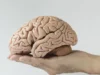 Jangan Abaikan! Inilah 5 Tanda Fungsi Otak Mulai Menurun yang Sering Dianggap Sepele