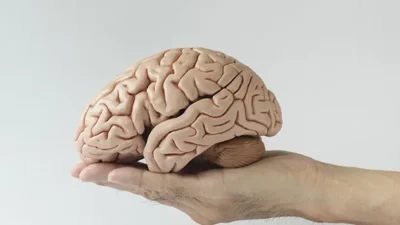 "Sering lupa meletakkan kunci atau sulit menemukan kata yang pas? Hati-hati, itu bisa jadi sinyal cognitive decline. Simak 5 tanda fungsi otak menurun yang wajib diwaspadai."