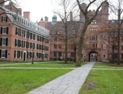 Ingin Kuliah Hukum? Ini 5 Universitas Terbaik di Dunia untuk Jurusan Hukum