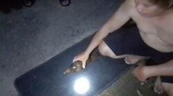 Seorang warga menyerahkan satu buah mortir yang diduga masih aktif kepada petugas di Mapolsek Beduai guna dilakukan penanganan lebih lanjut secara aman, Selasa (17/2/2026).