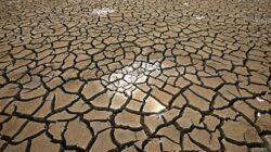 "Antisipasi krisis air dan asap! Simak 4 hal penting yang wajib dipersiapkan warga Kalimantan Barat menghadapi musim kemarau dan anomali El Nino 2026."