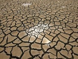 Hadapi El Nino, Ini 4 Hal Wajib Dipersiapkan Warga Kalbar Menyambut Musim Kemarau