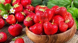 "Ingin rambut sehat tanpa kimia berlebih? Simak 5 buah-buahan yang wajib menjadi haircare alami Anda, mulai dari alpukat hingga stroberi untuk rambut berkilau."