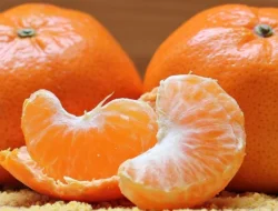 5 Jenis Buah yang Tidak Direkomendasikan untuk Buka Puasa dan Dibuat Jus