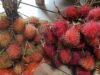5 Fungsi Buah Rambutan bagi Kesehatan yang Jarang Diketahui