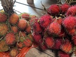 5 Fungsi Buah Rambutan bagi Kesehatan yang Jarang Diketahui