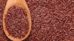 "Merasa lemas dan pusing akibat kurang gula? Simak 5 rekomendasi makanan sehat mulai dari pisang hingga ubi jalar untuk menstabilkan energi tubuh Anda."