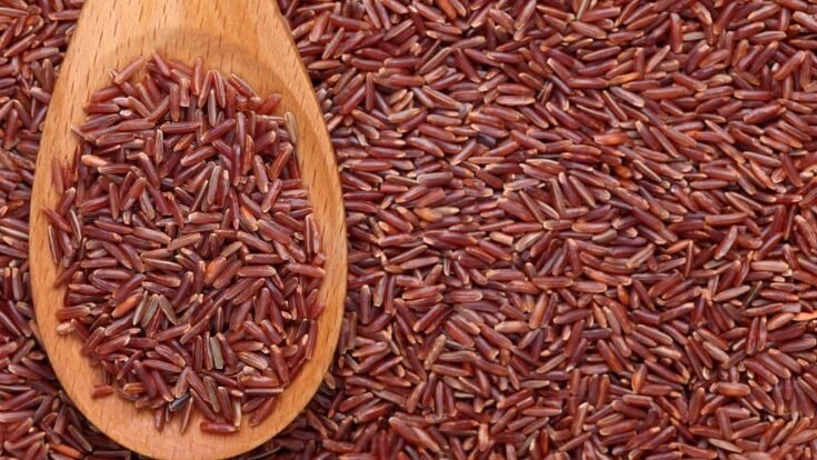 "Merasa lemas dan pusing akibat kurang gula? Simak 5 rekomendasi makanan sehat mulai dari pisang hingga ubi jalar untuk menstabilkan energi tubuh Anda."