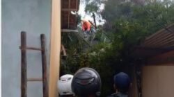 BPBD Kabupaten Wonosobo bersama tim gabungan mengevakuasi dan membersihkan puing-puing pohon gumbang di Desa Timbang, Kecamatan Leksono, Kabupaten Wobosobo, Jawa Tengah pada Minggu (29/3). Sumber foto : BPBD Provinsi Jawa Tengah