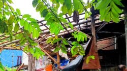Cuaca ekstrem di Tasikmalaya landa tiga kecamatan dan rusak sejumlah rumah. BNPB imbau warga waspada ancaman bencana pada peralihan musim pancaroba.