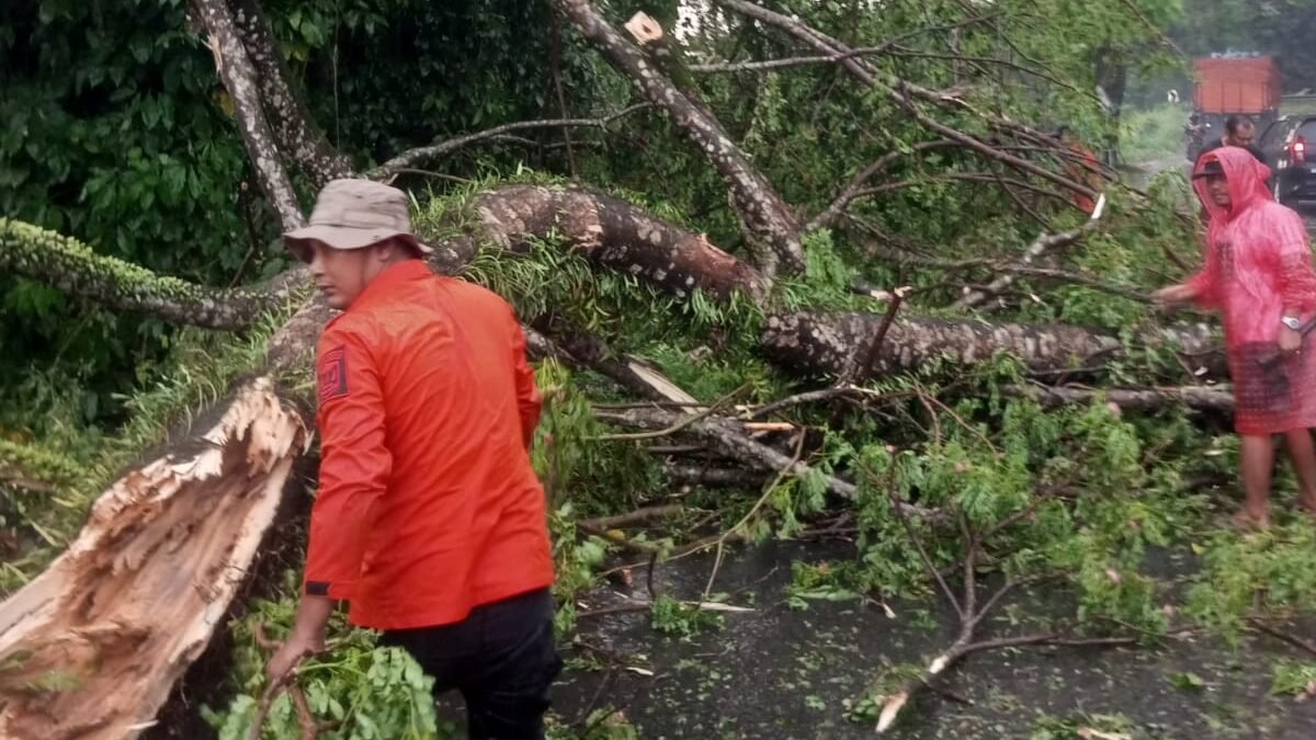 Cuaca ekstrem yang melanda Kota Binjai, Provinsi Sumatera Utara (27/2) sumber foto BPBD Kota Binjai