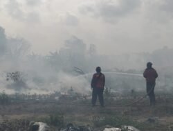 25 Hektar Lahan Hangus, Karhutla di Bintan Berhasil Dipadamkan