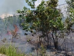 Akhir Pekan Dihantam Cuaca Ekstrem, BNPB Catat Rentetan Bencana Hidrometeorologi di Indonesia