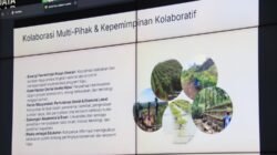 Pemprov Kalbar Optimalkan 8,4 Juta Hektare Hutan Tarik Investasi Rendah Karbon