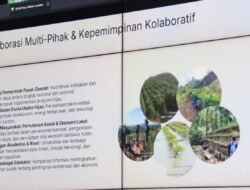 Pemprov Kalbar Optimalkan 8,4 Juta Hektare Hutan Tarik Investasi Rendah Karbon